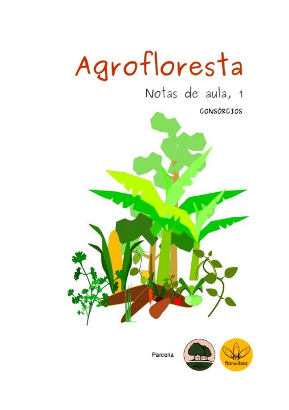capa_notas-de-aula-565x800 capa_notas-de-aula-565x800
